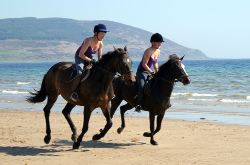 Cairnhouse Riding Centre, Blackwaterfoot, Isle of Arran